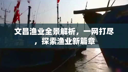 文昌渔业全景解析，一网打尽，探索渔业新篇章