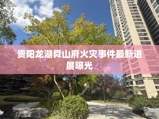 贵阳龙湖舜山府火灾事件最新进展曝光