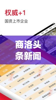商洛头条新闻聚焦，时事热点一网打尽