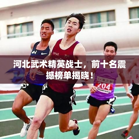 河北武术精英战士，前十名震撼榜单揭晓！