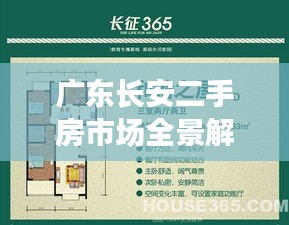 广东长安二手房市场全景解析，百度揭示的购房秘籍
