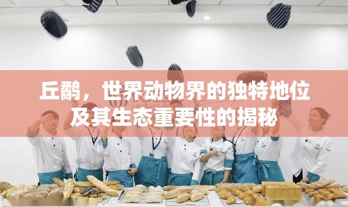 丘鹬，世界动物界的独特地位及其生态重要性的揭秘