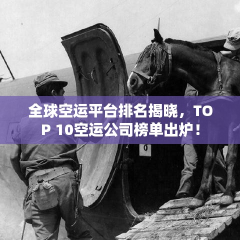 全球空运平台排名揭晓，TOP 10空运公司榜单出炉！