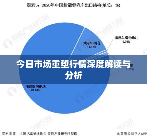 今日市场重塑行情深度解读与分析