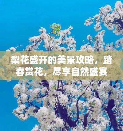 梨花盛开的美景攻略，踏春赏花，尽享自然盛宴！