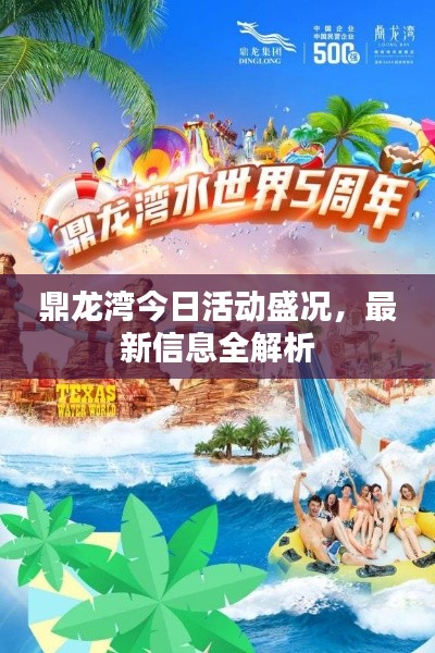 鼎龙湾今日活动盛况，最新信息全解析