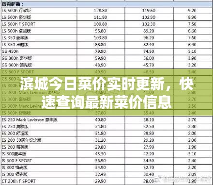 滨城今日菜价实时更新，快速查询最新菜价信息