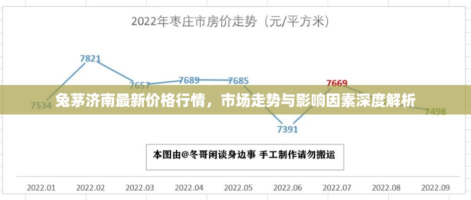 兔茅济南最新价格行情，市场走势与影响因素深度解析