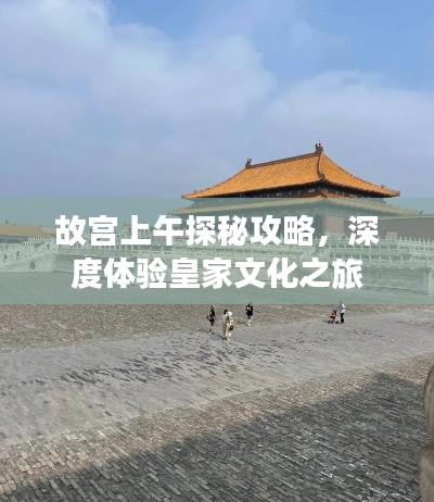故宫上午探秘攻略，深度体验皇家文化之旅
