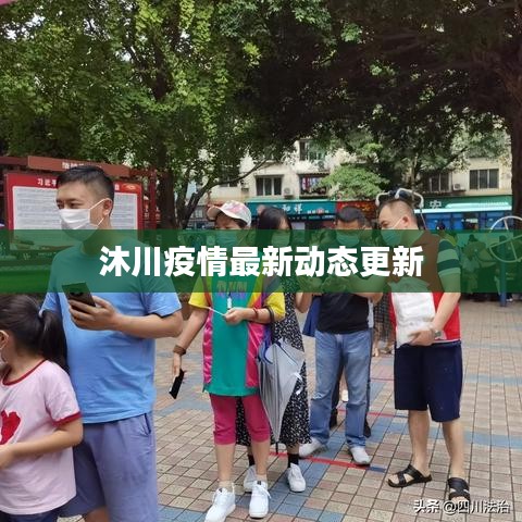 沐川疫情最新动态更新