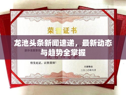 龙池头条新闻速递，最新动态与趋势全掌握