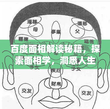 百度面相解读秘籍，探索面相学，洞悉人生运势！