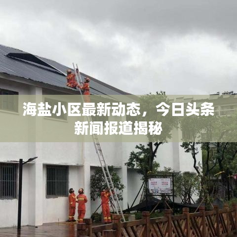 海盐小区最新动态，今日头条新闻报道揭秘