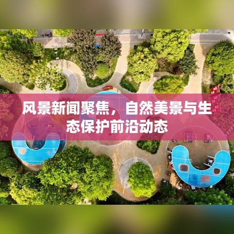 风景新闻聚焦，自然美景与生态保护前沿动态