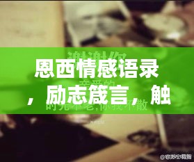 恩西情感语录，励志箴言，触动心灵之音