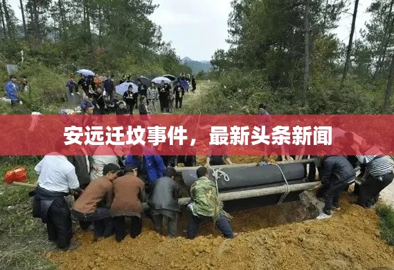 安远迁坟事件，最新头条新闻