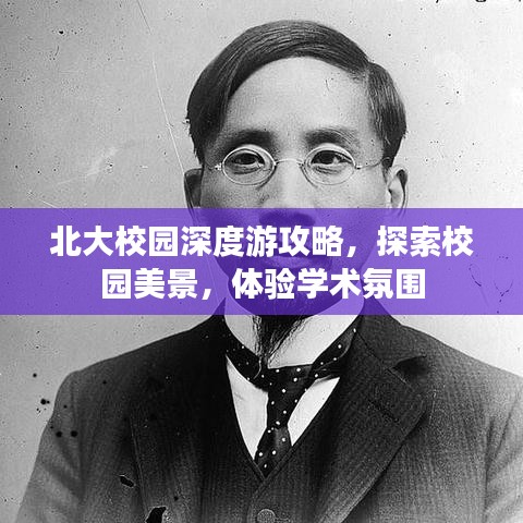 北大校园深度游攻略，探索校园美景，体验学术氛围