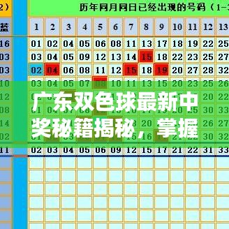 广东双色球最新中奖秘籍揭秘，掌握技巧，轻松赢大奖！