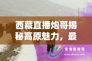 西藏直播炮哥揭秘高原魅力，最新视频大全引领探索热潮
