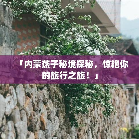 「内蒙燕子秘境探秘，惊艳你的旅行之旅！」