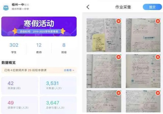 作业辅导下载官方,实地验证数据应用|VR_v8.864