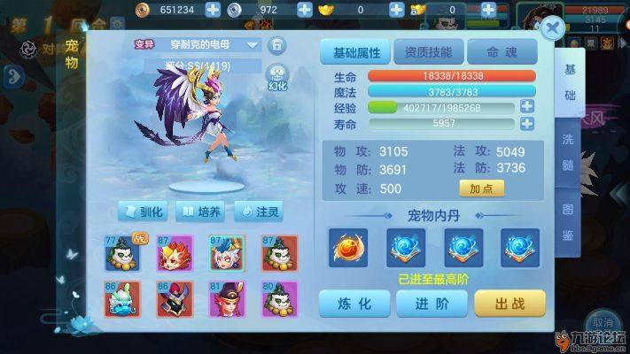仙凡幻想版本,具体操作指导_苹果款_v7.299