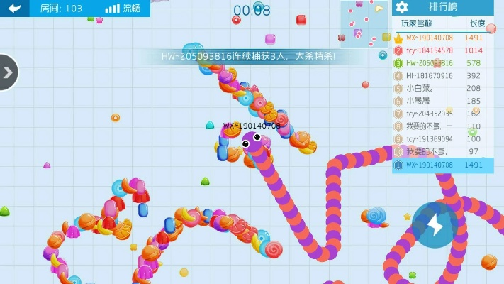 贪吃蛇哪个版本好玩,实地研究解释定义 Premium_v4.831