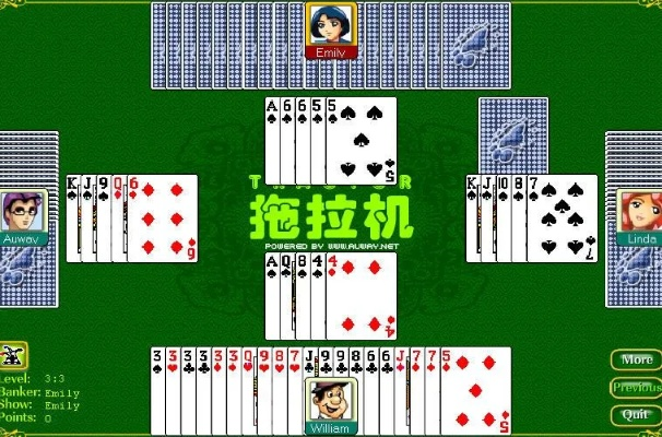 棋牌激活码分享及升级拖拉机 单机版,全面设计实施策略|3DM_v10.112