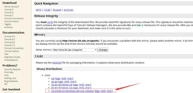 专业级工具，Tomcat下载官方与迅雷版本的选择，实地验证分析数据AP1_v4.439