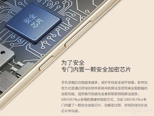 金立m6官方固件下载与浴血沙城激活码，实地分析办公软件如何提升个人及团队效率